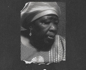 Dzo 729 - Mapule (Album)